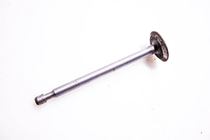 New OEM Briggs & Stratton 261233 Intake Valve NOS