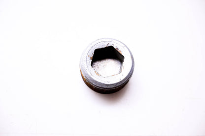 OMC 315713 Pipe Plug NOS