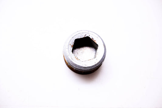 OMC 315713 Pipe Plug NOS