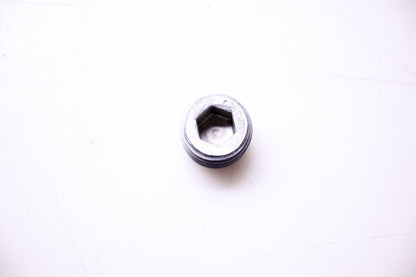 OMC 314273 Passage Plug NOS