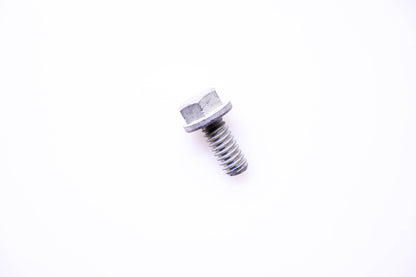 OMC 306010 Screw NOS