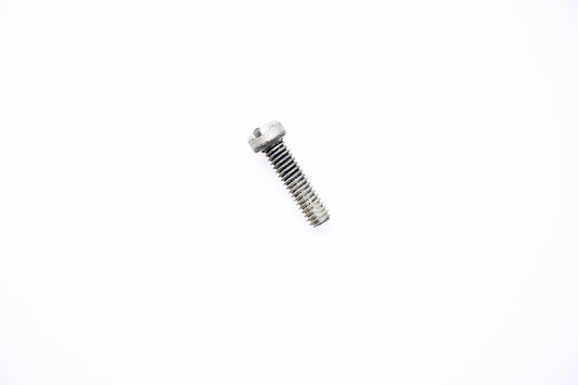 OMC 130988 Screw NOS