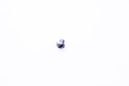 OMC 313123 Bracket Screw NOS
