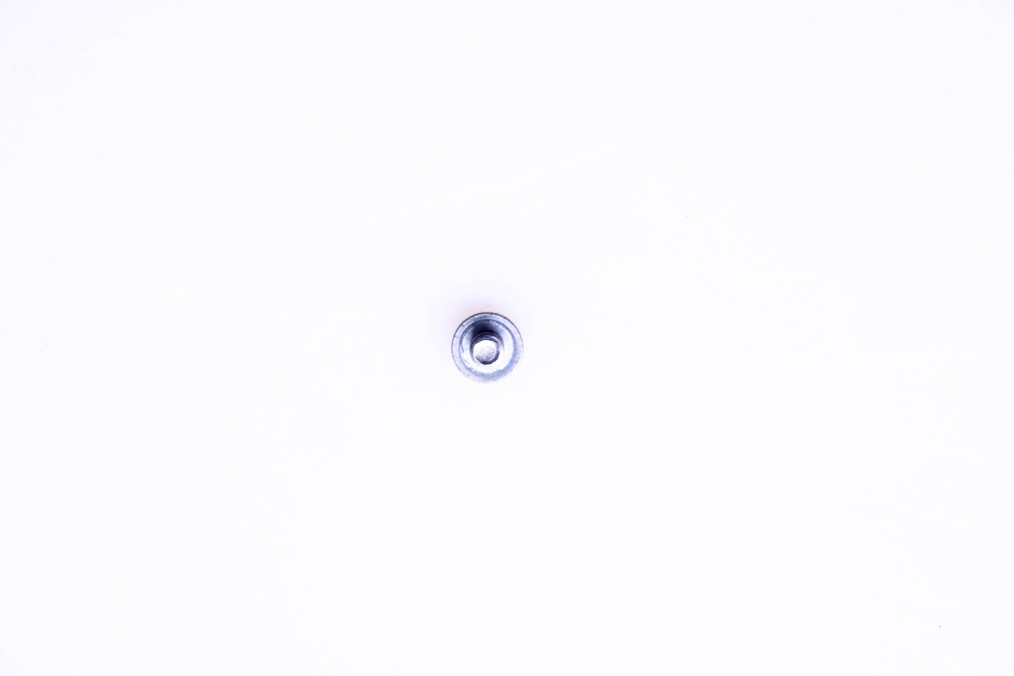 OMC 313123 Bracket Screw NOS