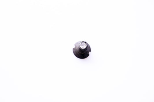 OMC 306335 Screw NOS