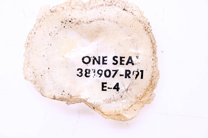 National 381907-R91 Oil Seal NOS