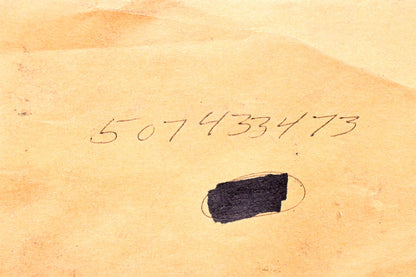 Poulan 507433473 Cylinder Gasket NOS