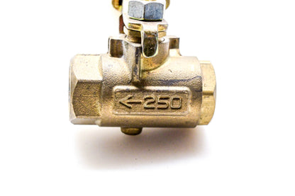 Parker 250 Valve