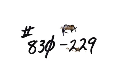 Total Source 830-229, RA830-229 Spring fits Raymond NOS
