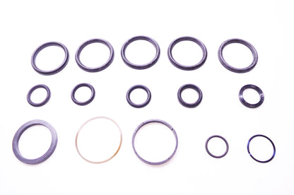 Hyster 170881 Forklift Hydraulic Cylinder Seal Kit NOS