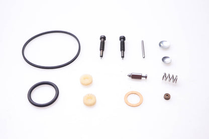 New OEM Briggs & Stratton 494349 Carburetor Kit NOS
