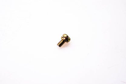 New OEM Briggs & Stratton 690718 Screw NOS