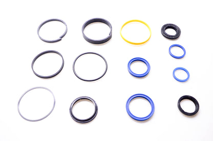 Lion Hydraulics 644200 Seal Repair Kit NOS