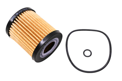 Carquest R84203 Engine Oil Filter Assembly Kit NOS