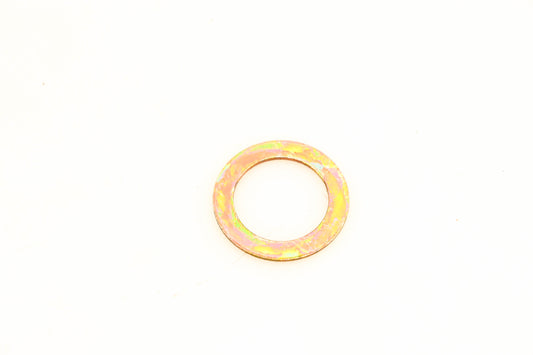 Mack 4103-5010040665, 5010040665 Renault Washer NOS