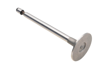 Rotary 239880, ENE10-0117 Intake Valve NOS