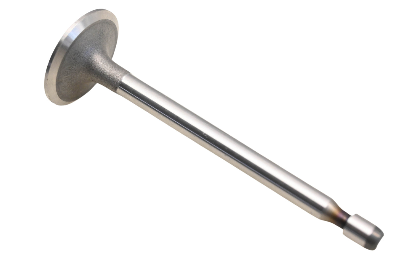 Rotary 239880, ENE10-0117 Intake Valve NOS