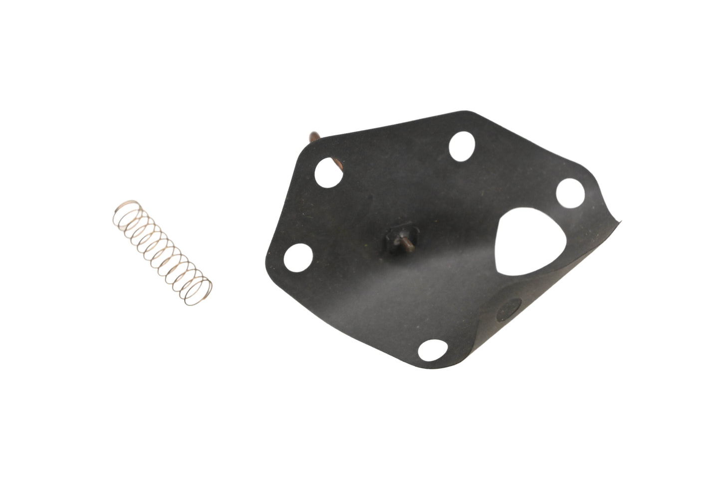 Rotary 22-1429, 299637 Diaphragm Kit NOS
