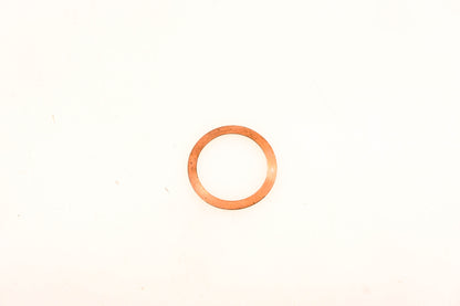 Mack 79GA79101 Copper Washer NOS