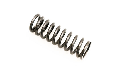 Bosch 2444618006-000, 935-2444618006 Spring NOS