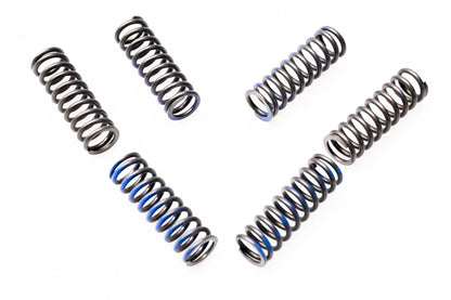 Hinson CS216-6-0315 Clutch Spring Kit NOS