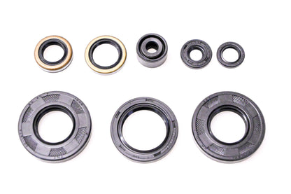 Vertex 182-2135 Oil Seal Kit NOS