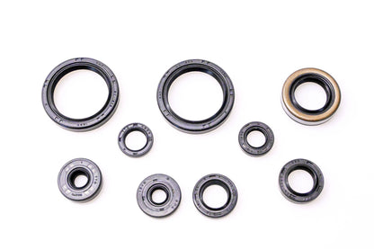 Vertex 822316 Engine Oil Seal Kit NOS
