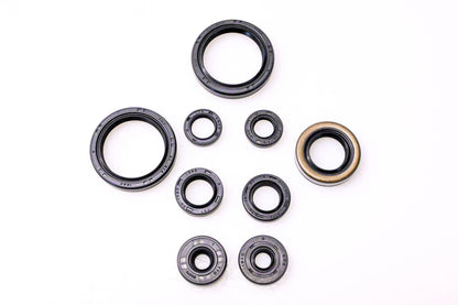 Vertex 822316 Engine Oil Seal Kit NOS