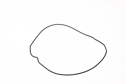 New OEM Honda 91311-KZ3-L21 Clutch Cover O-Ring NOS