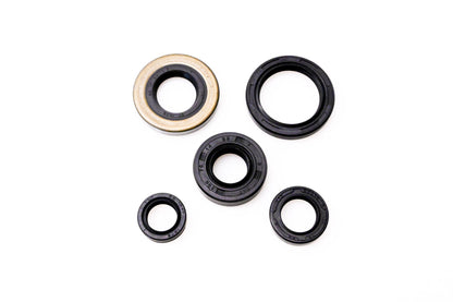 Winderosa 182-2139 Oil Seal Kit NOS