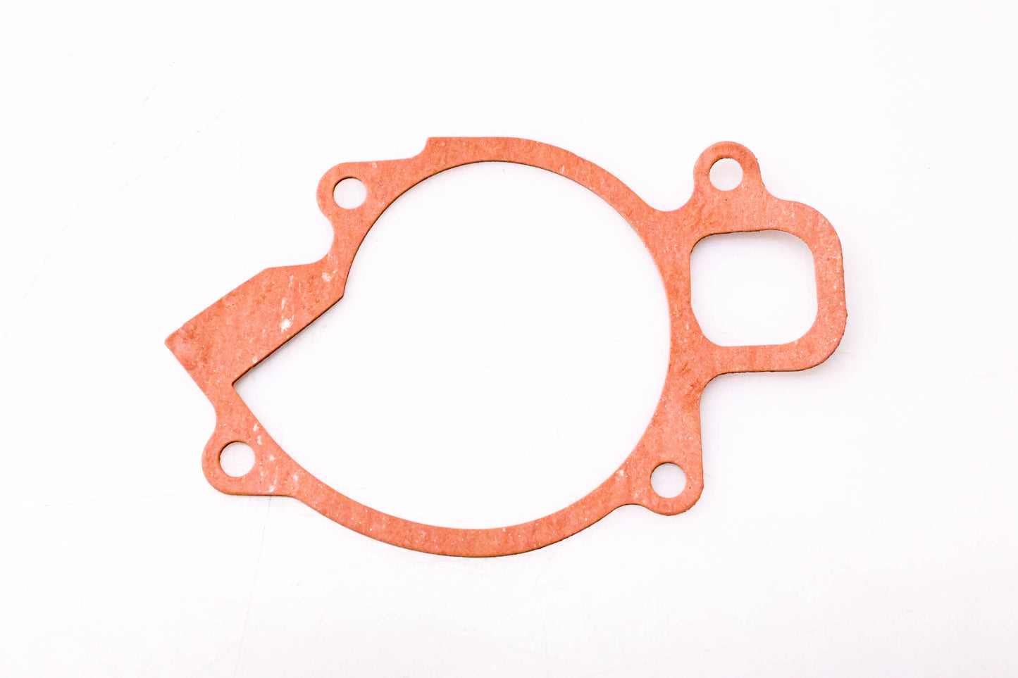 New OEM Polaris 5813172 Waterpump Cover Gasket NOS