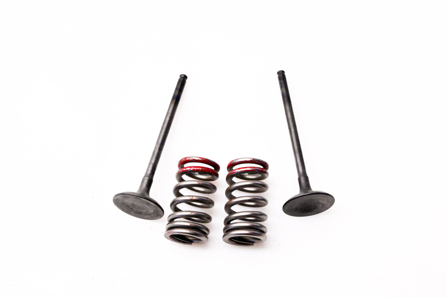 ProX 28.SES4335-1, 8409919990 Steel Exhaust Valve And Spring Kit NOS