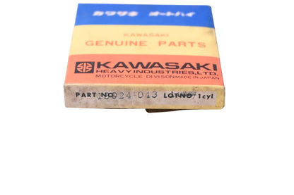 New OEM Kawasaki 13024-043 Piston Ring Kit NOS