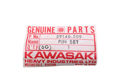 New OEM Kawasaki 59146-509 Piston Pin Set NOS