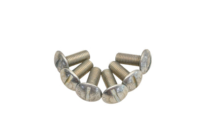 Raymond 701-176-100, 701-176 Screws Qty 6 NOS