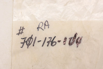 Raymond 701-176-100, 701-176 Screws Qty 6 NOS