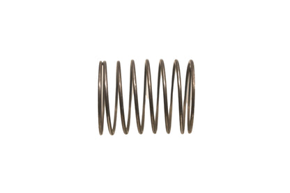 Aftermarket 420938071, P420938071 Spring NOS