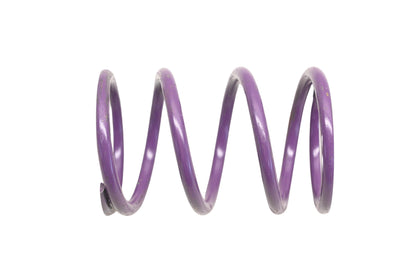 Aftermarket 417118500, P417118500 Purple-Yellow/Green Spring NOS