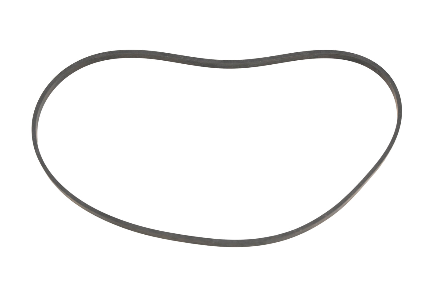 Aftermarket 420850040, P420850040 Rubber Ring Gasket NOS