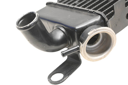 OEM Yamaha 89A-12460-00-00 Denso Radiator