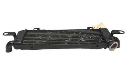 OEM Yamaha 89A-12460-00-00 Denso Radiator