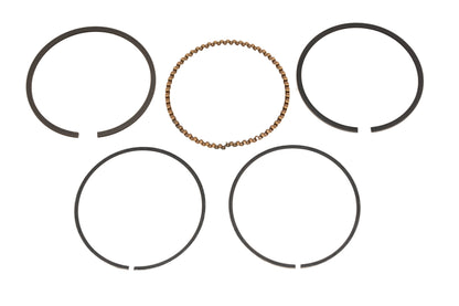 New OEM Yamaha 2F3-11610-13-00 Piston Ring Kit NOS