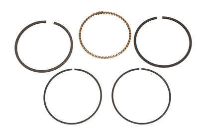 New OEM Yamaha 2F3-11610-13-00 Piston Ring Kit NOS