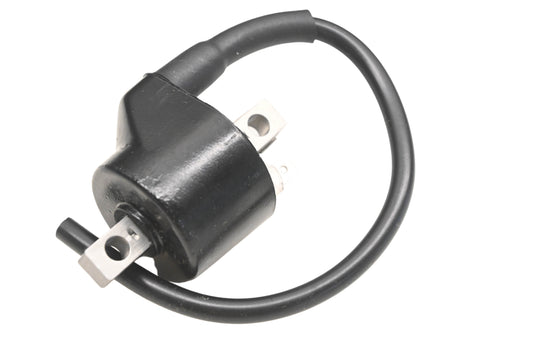 Robin 155-71202-01, 3083642 Polaris Ignition Coil NOS