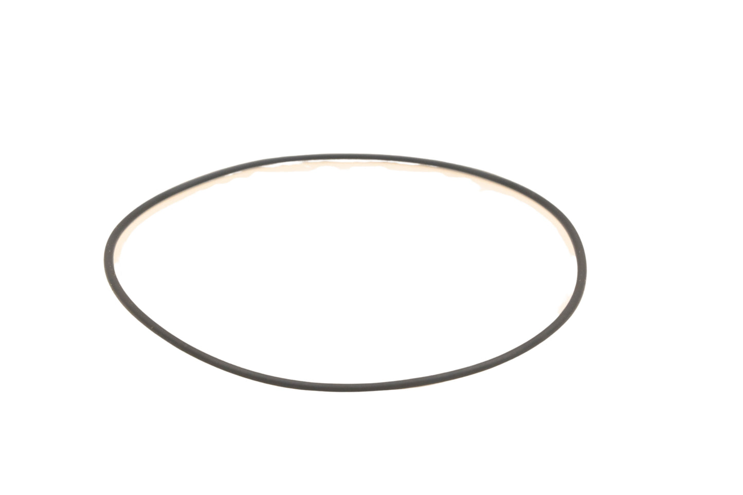 New OEM Polaris 5411199 O-Ring NOS