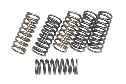 EBC CSK198 Heavy Duty Clutch Spring Kit NOS