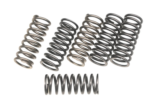 EBC CSK198 Heavy Duty Clutch Spring Kit NOS