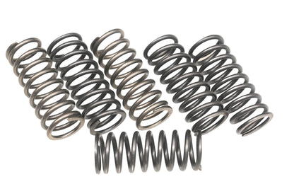 EBC CSK198 Heavy Duty Clutch Spring Kit NOS