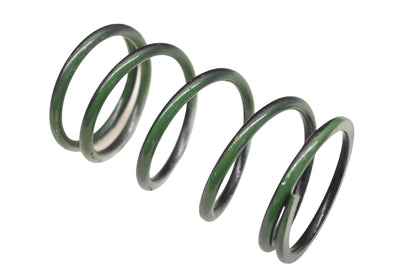 Comet 209935A Clutch Silver/Green Spring NOS