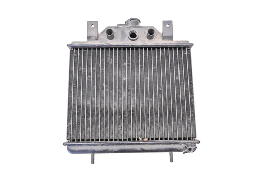 New OEM Polaris 1240006 Radiator Assembly NOS